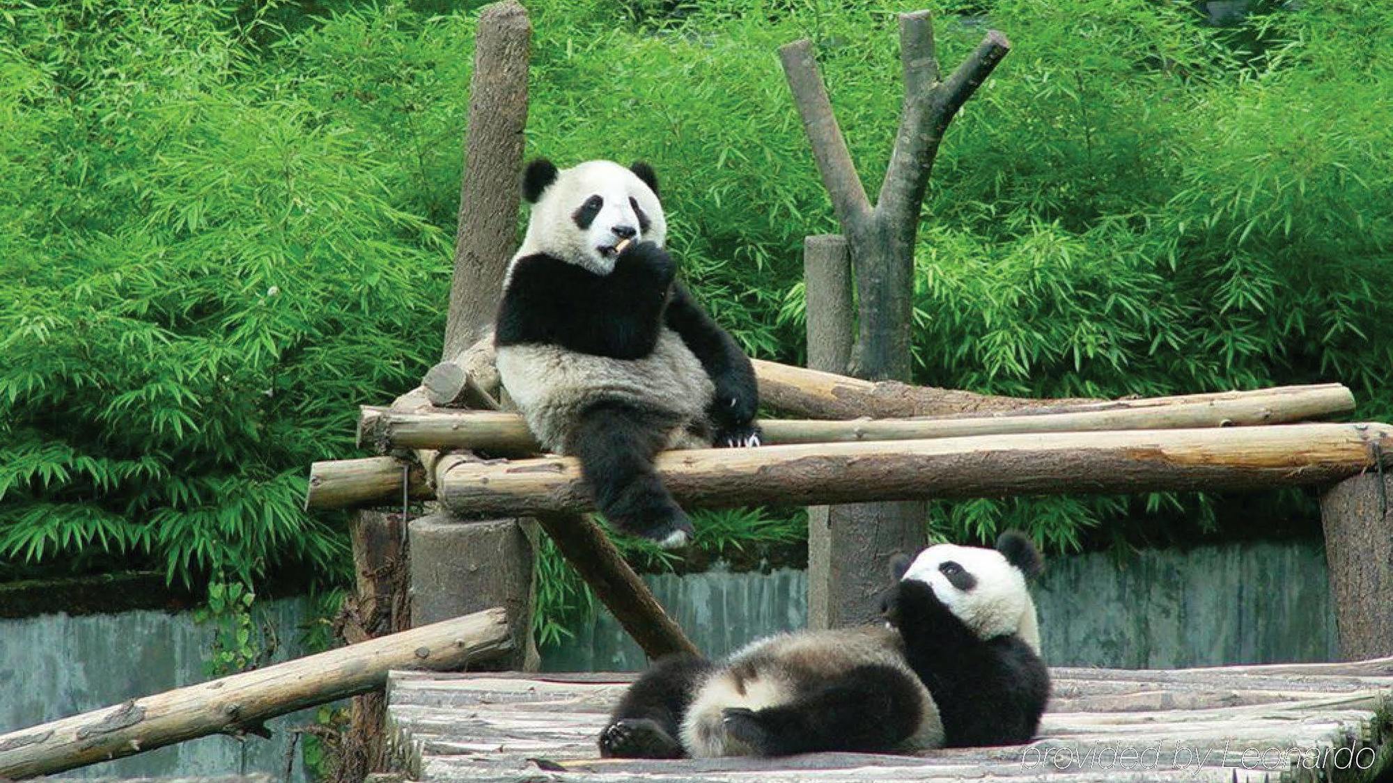 Holiday Inn Chengdu Xindu By Ihg Eksteriør billede